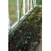 Сетка шпалерная для вьющихся растений PLANT NET 1,7х100м 